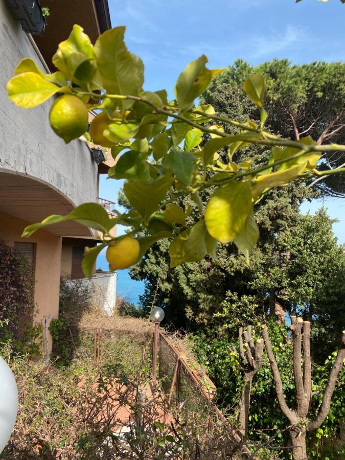 Argentario… Tutto Da Scoprire Lägenhet Porto Santo Stefano  Exteriör bild